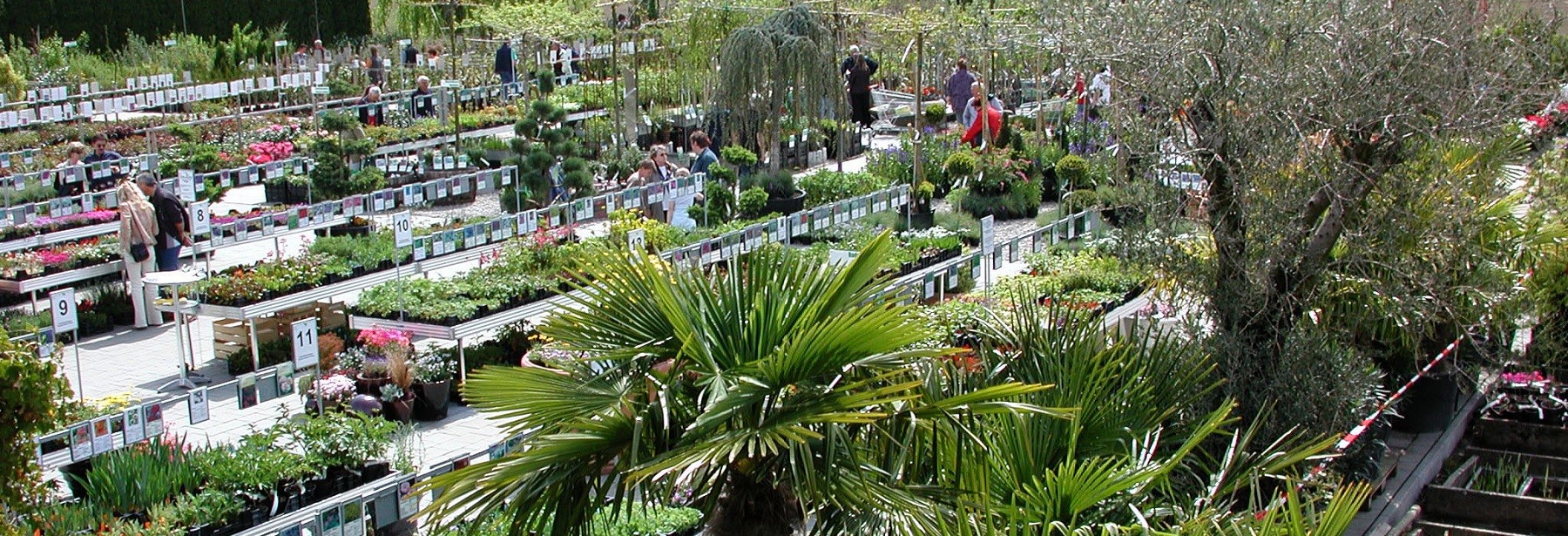 Événements au Garden Centre de Lehmann Baumschulen AG