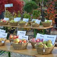 Événements au Garden Centre