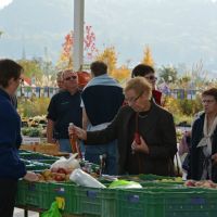 Événements au Garden Centre
