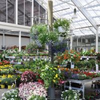 Événements au Garden Centre